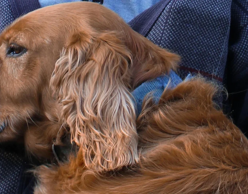 Making Relatives Feel At Home In Their New Care Home