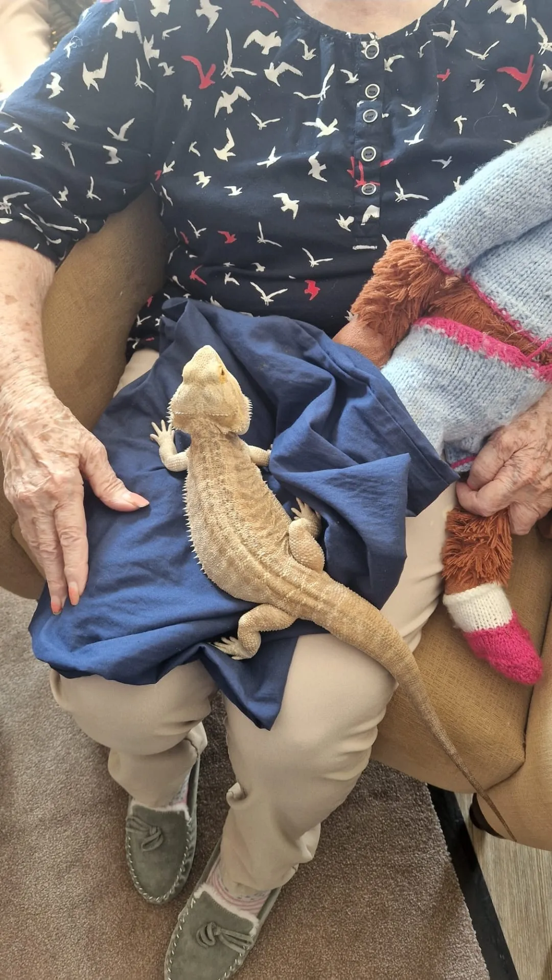 Animals, Children, and Smiles: A Magical Morning at Cedar Mews
