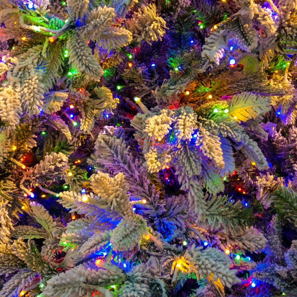 It’s beginning to look a lot like Christmas