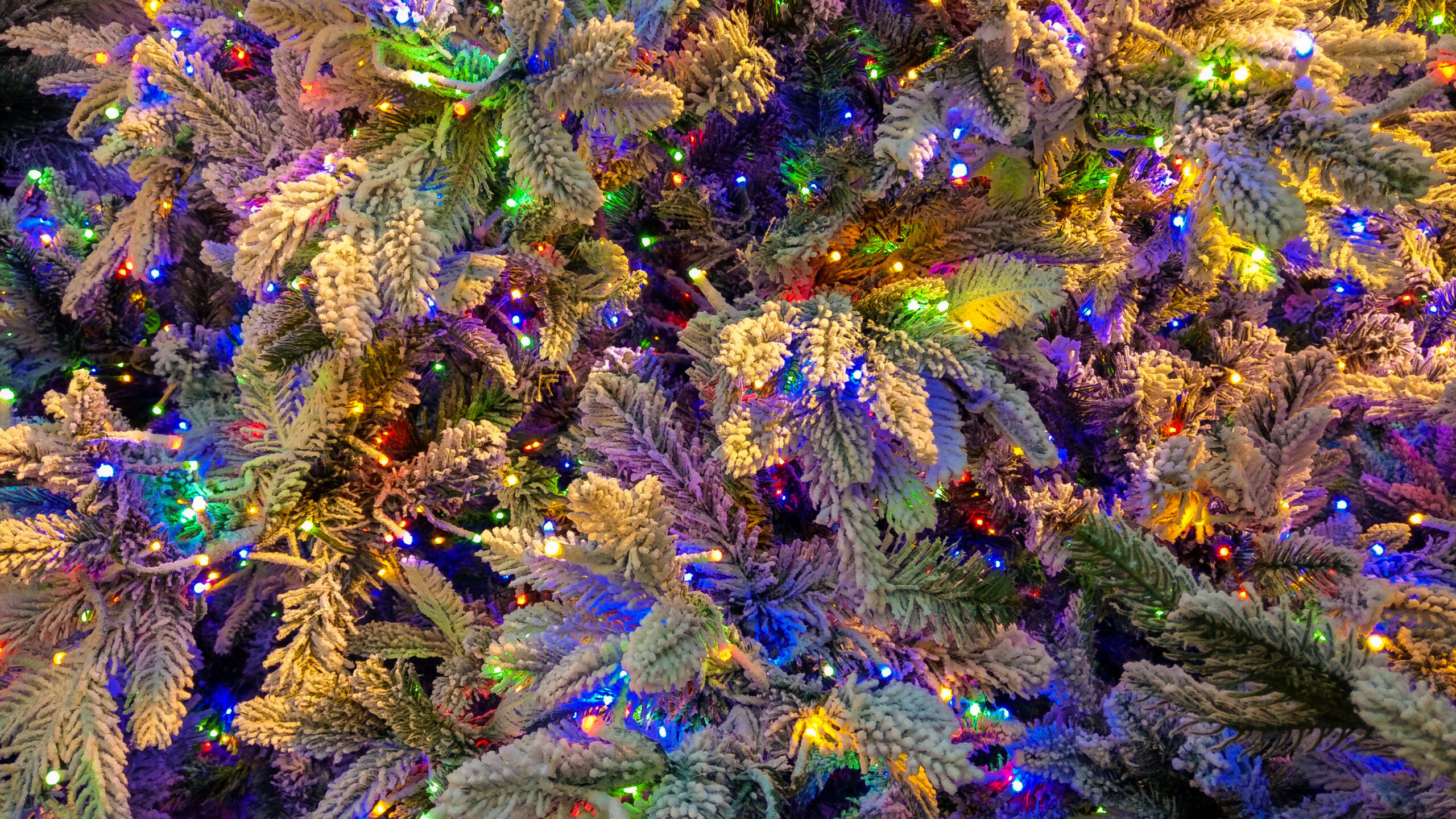 Christmas Celebrations at Jubilee House