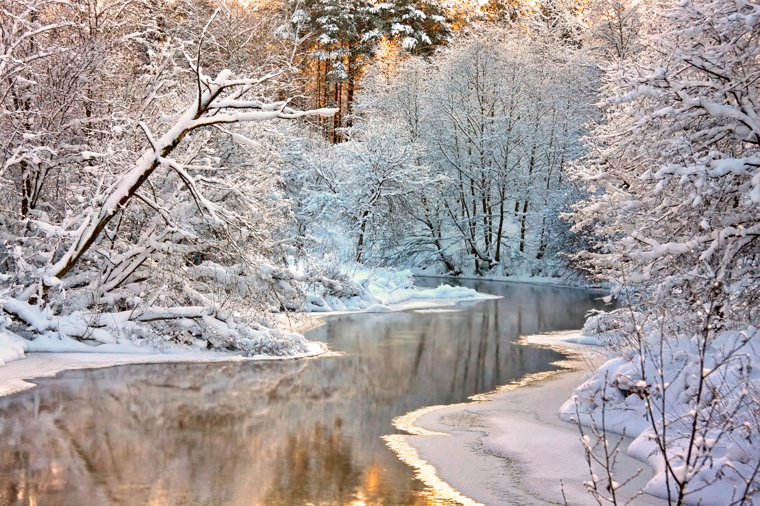 Winter Wellness